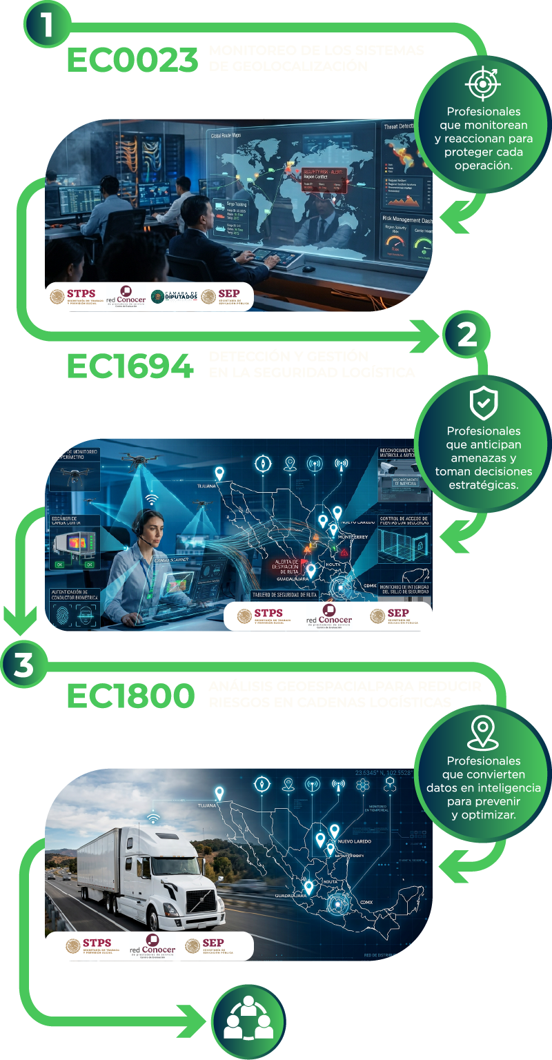 Flujo de profesionalización